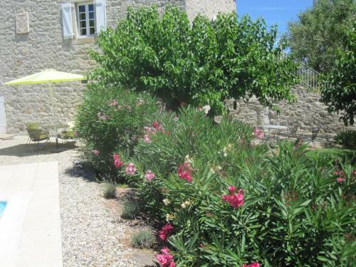 Bed & Breakfast Mas De La Garrigue