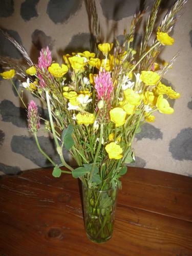 Bed & Breakfast La Maison De Lili
