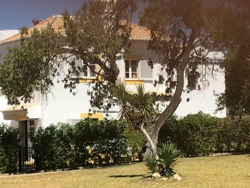 Villa C/ Piscina Pr�xima Da Praia