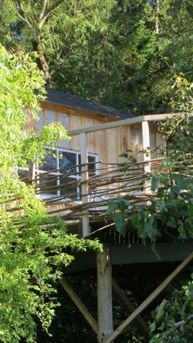 Treehouse B&B