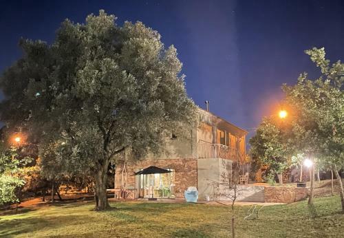 Villa Casa Da Oliveira