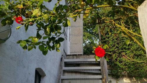 Apartamento Ferie Lejligheden Landlyst