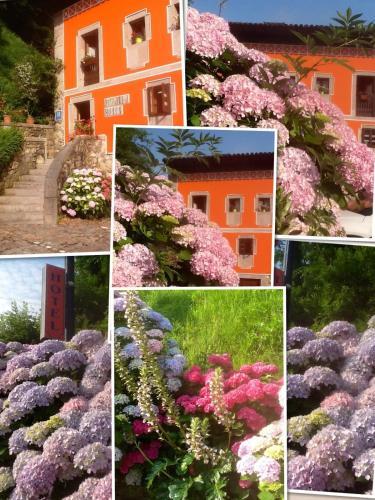 Hotel Pe�alba