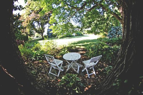 Bristol House Bed & Breakfast