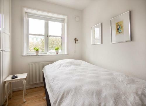 Bright Apartment With Access To A Huge Terrace