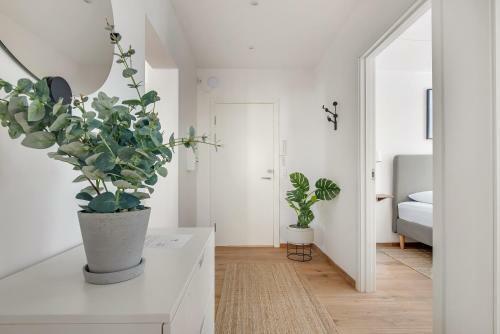 Nord Hotel Apartments