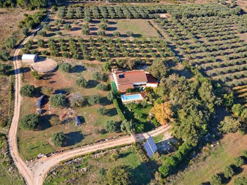 Striking Holiday Home In Carcavelos With Swimming Pool