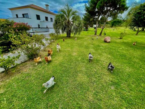 Agroturismo Solar Pontes