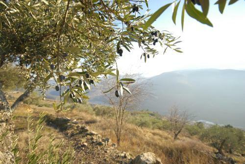 Agroturismo Seven Books House