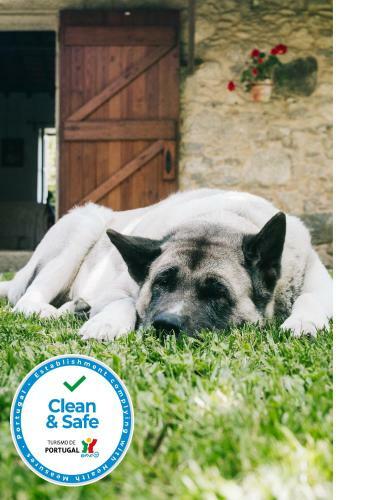 Agroturismo Mar Dentro - The Surf Farm