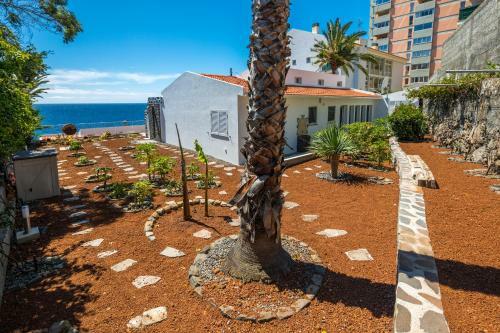Casa Maravilha III