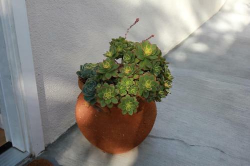 Apartamento Private Guest Suite In West Los Angeles