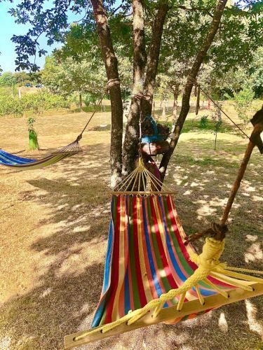 Casa Da Quinta Da Prelada Sim�o Partie Basse