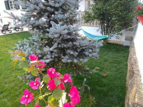 Villa - Garden & Pool