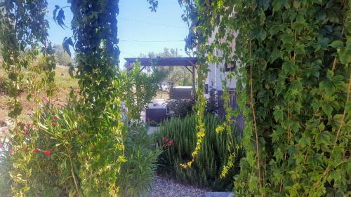 Apartamento Casa Rural Chapinheira