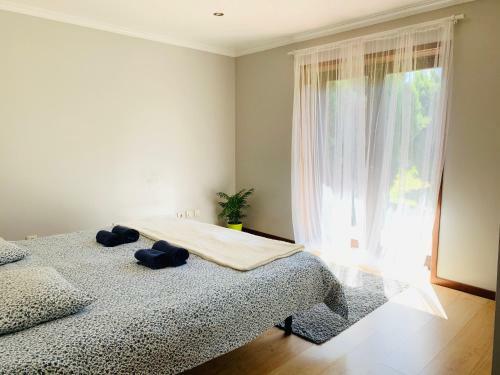Bed & Breakfast Happy Ria House