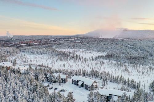 Stara Apartments Levi, Free Skiing Ticket,1pcs, For Customers!