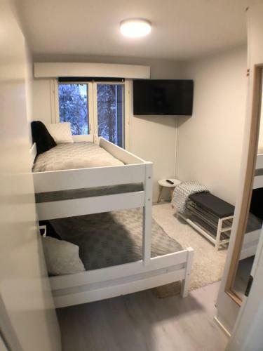 Stara Apartments Levi, Free Skiing Ticket,1pcs, For Customers!