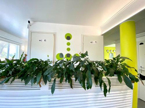 Hostal Chillout Guesthouse Lahti