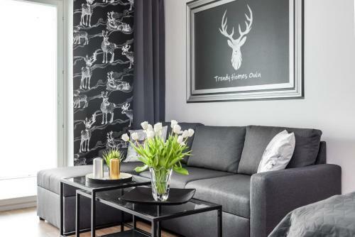 Trendy Homes Oulu Deluxe Apartments