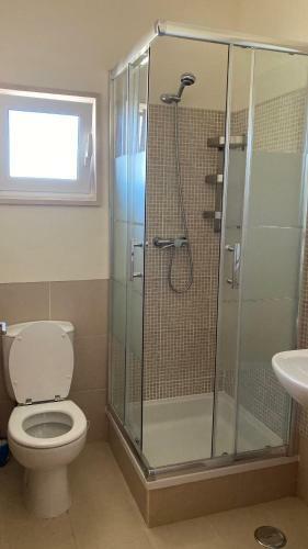 Apartamento Com 2 Quartos, Varanda Ampla E Piscina