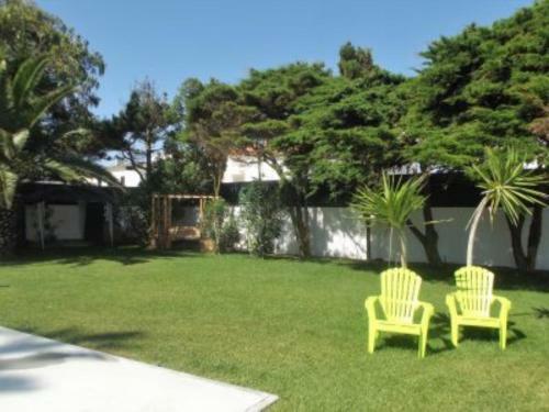 Silver Seahorse Garden Retreat II