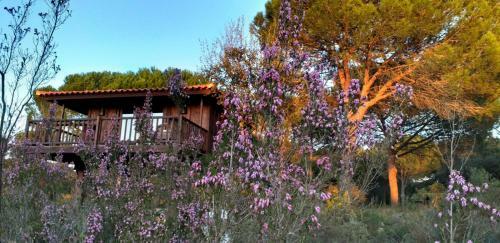 Lodge Ying Yang Monte Da Lua