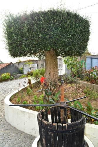 Agroturismo Casa Rebelo