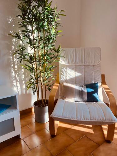 Apartamento 2m - Praia Do Carvoeiro