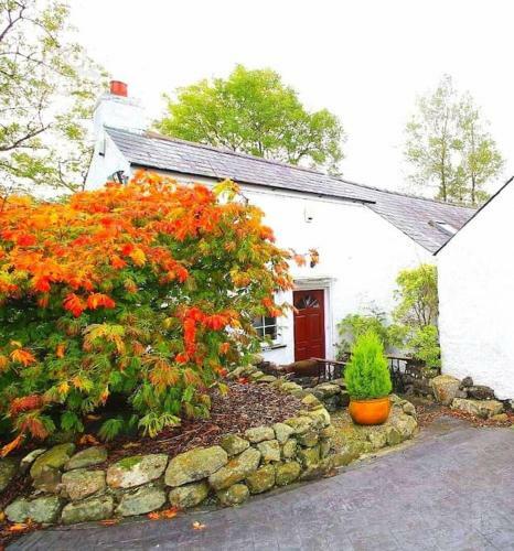 Riverside Cottage At Logwood Mill County Antrim
