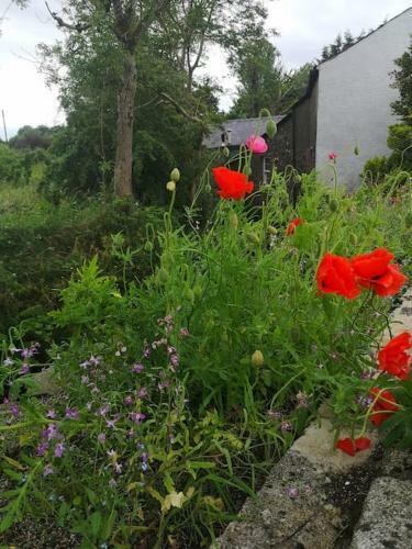 Riverside Cottage At Logwood Mill County Antrim