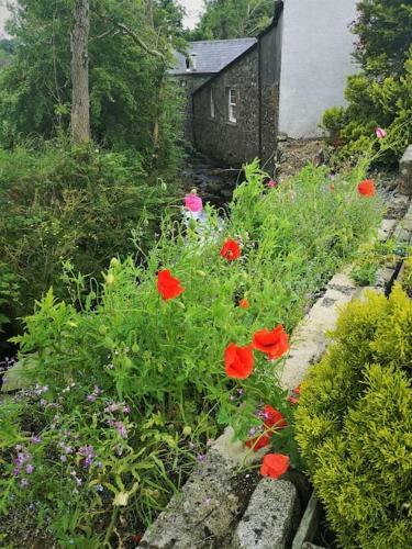 Riverside Cottage At Logwood Mill County Antrim