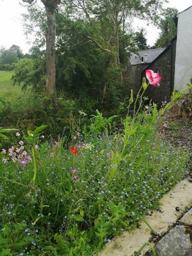Riverside Cottage At Logwood Mill County Antrim