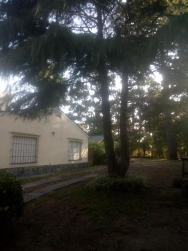 Nuestro Lugar