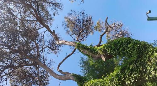 Apartamento Pucar�