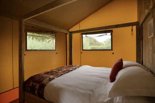 Lodge Tall Trees Glamping