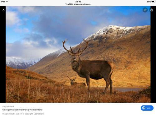 Apartamento The Monarch Lodge ,aviemore Holiday Park