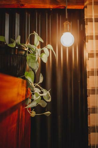 Apartamento Departamento Sur