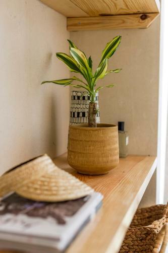 Sea�ya Family Surf Houses
