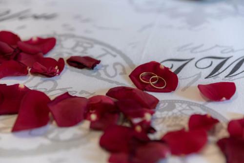Bed & Breakfast Chambres D'h�tes Des F�es