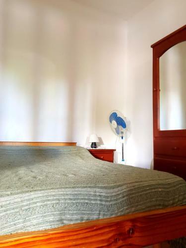 Hostal Hopedaje Felisa