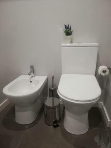 Apartamento Bp Palmilheira