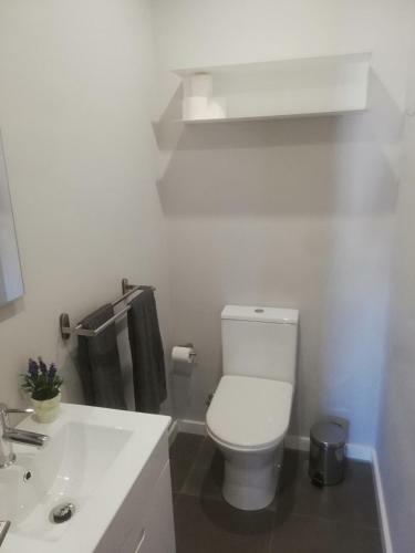 Apartamento Bp Palmilheira