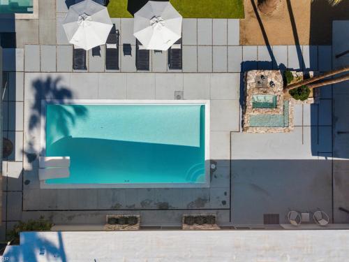 Modern Palms