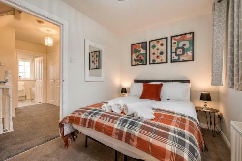 Central Belfast Apartments: Ashley Mews
