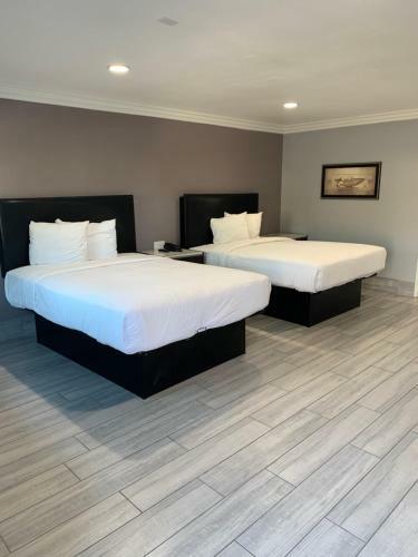 Hotel Willow Tree Inn & Suites