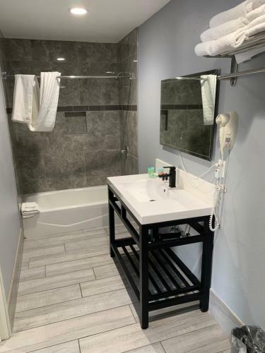 Hotel Willow Tree Inn & Suites