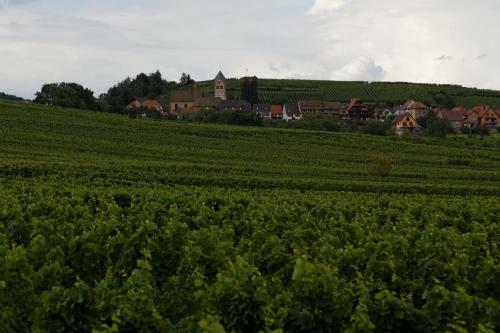 Bed & Breakfast Domaine Roland Geyer