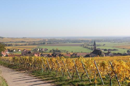 Gites Chez Le Vigneron