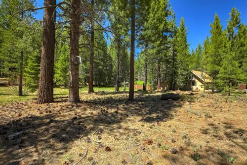 Stout House Cabin